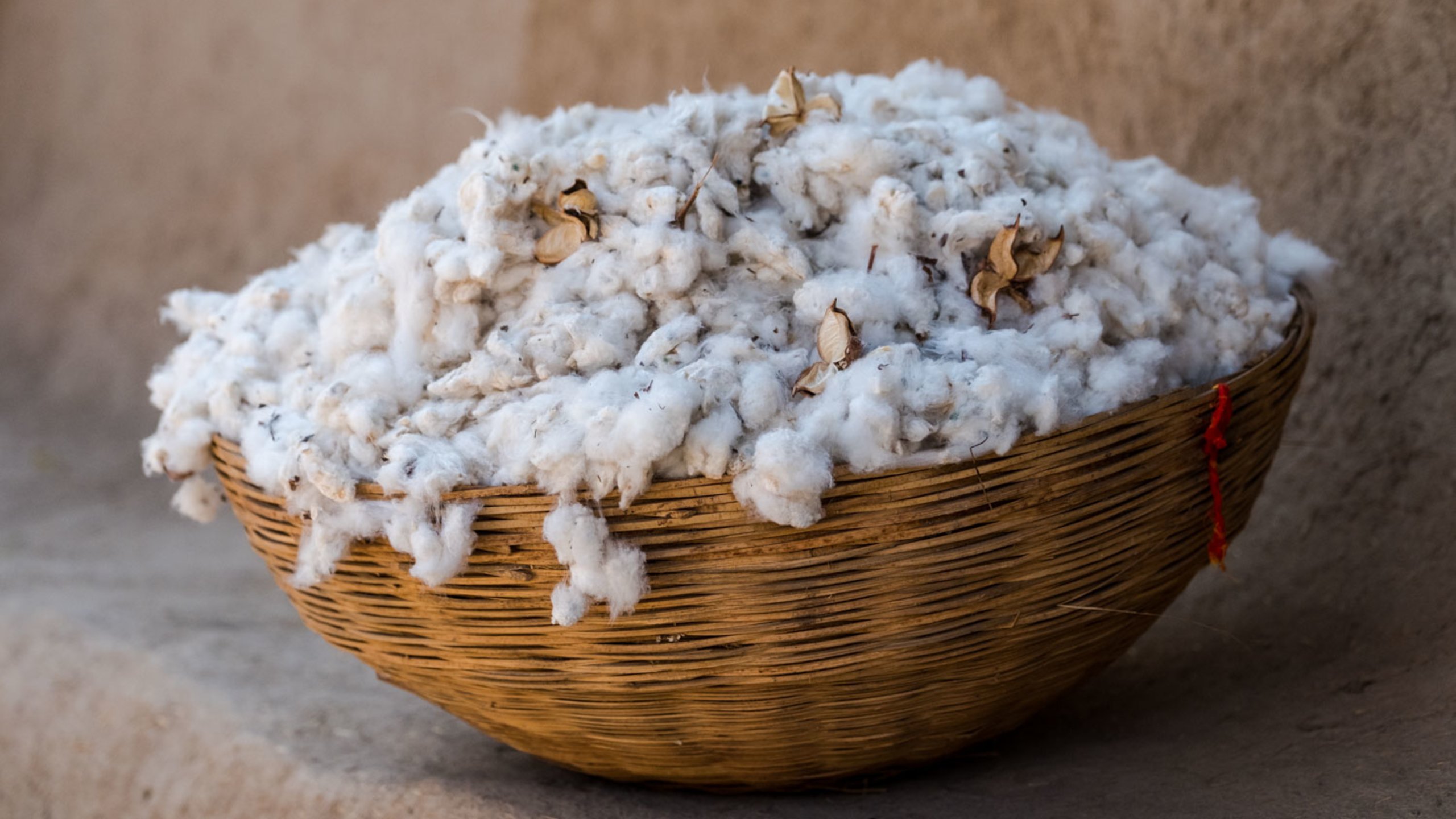 Sustainable fashion production and supply chain